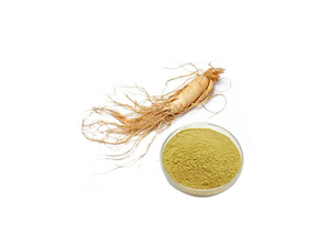 Extracto de ginseng americano