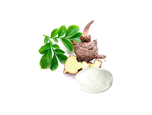 Extracto de konjac