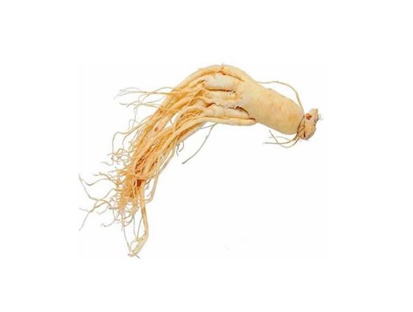 Extracto de ginseng