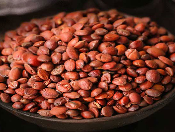 Extracto de semilla de dátil