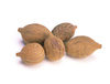 Extracto de Terminalia Bellerica