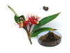 Extracto de Rauwolfia Serpentina