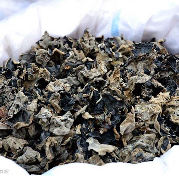 Extracto de Auricularia auricula