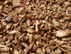 Extracto de raíz de salvia