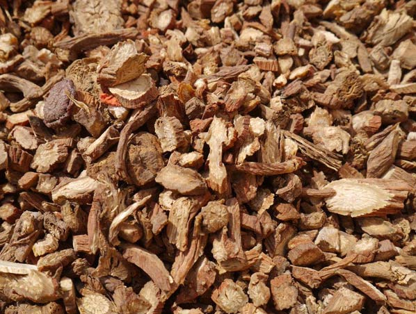Extracto de raíz de salvia