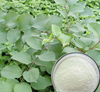 Extracto de Trans-Resveratrol/Polygonum Cuspidatum