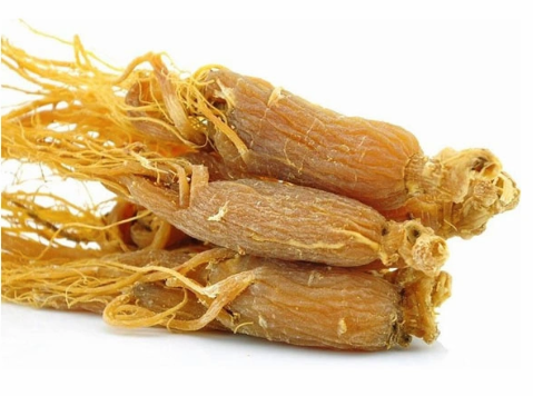 红参5