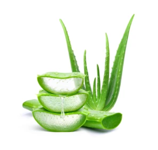 Extracto de aloe vera