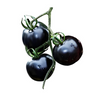 Extracto de tomate negro