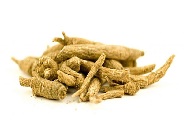 Extracto de ginseng siberiano