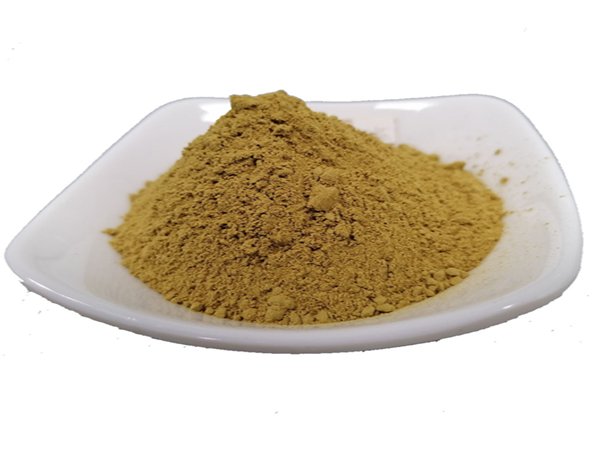 Extracto de hoja de olivo/extracto de oliva