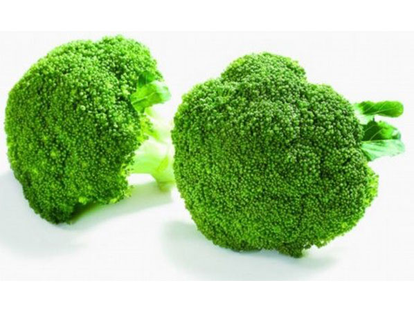 Brócoli en polvo