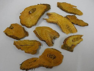 Extracto de Trans-Resveratrol/Polygonum Cuspidatum