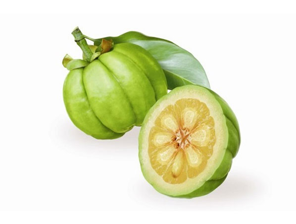 Extracto de Garcinia Cambogia