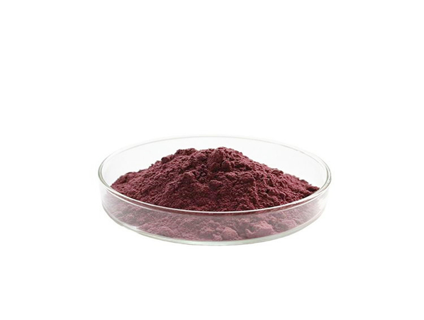 Extracto de Lithospermum Extracto de Arnebia euchroma Shikonin