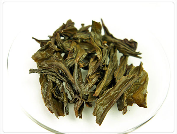 Extracto de té oolong