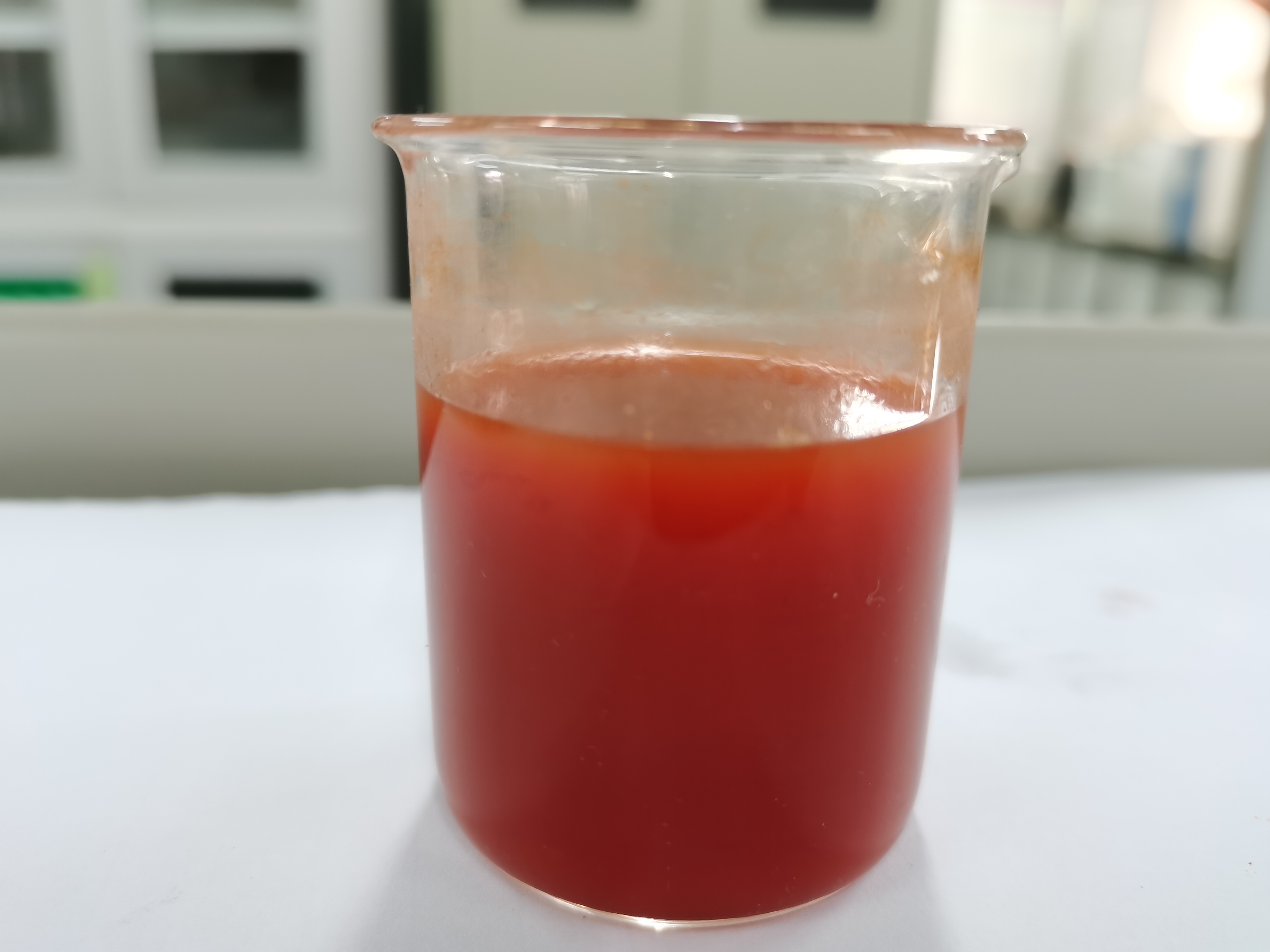 foto soluble的副本