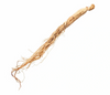 Extracto orgánico de ginseng coreano 