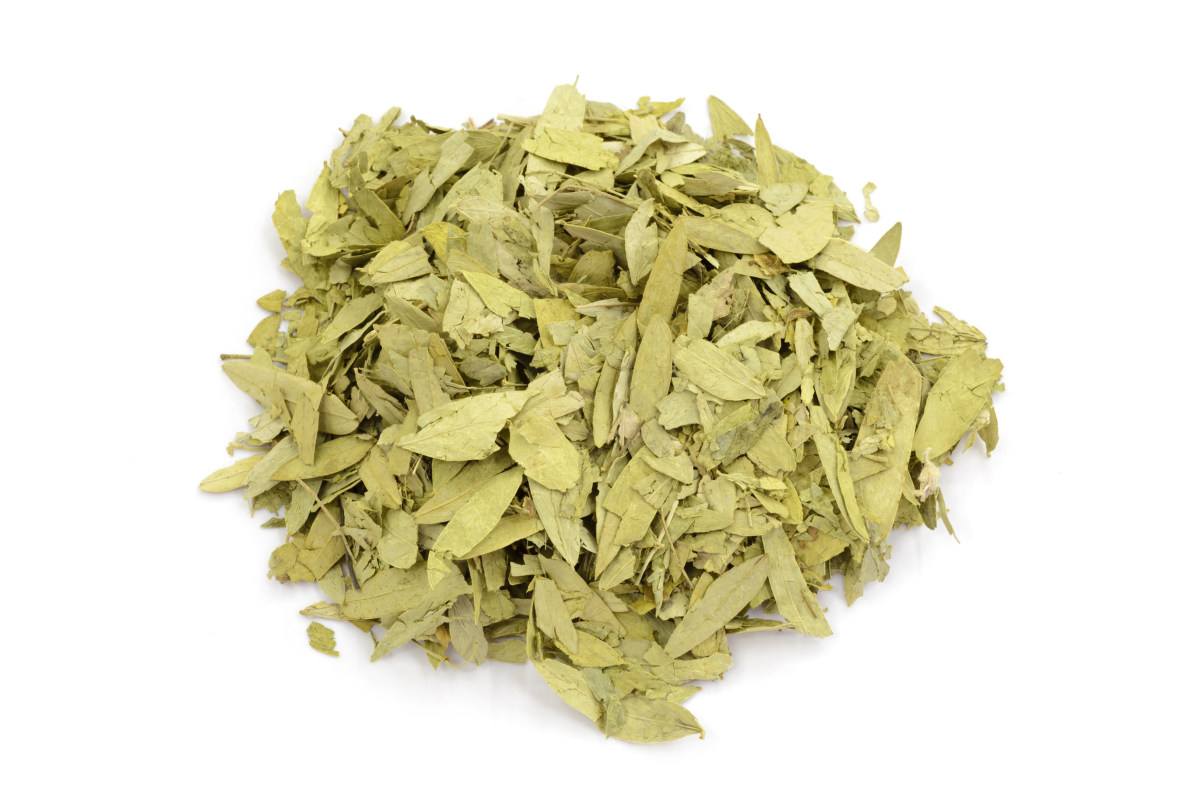 Extracto de hoja de sen: beneficios para la salud y aplicaciones de un laxante natural