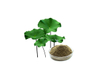Extracto de hoja de loto