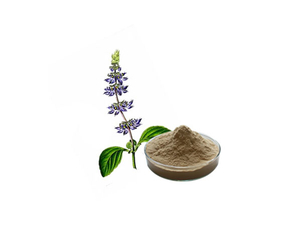 Extracto de Coleus Forskohlii