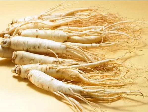 Extracto de ginseng
