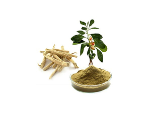Extracto de Ashwagandha