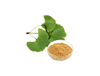 Extracto orgánico de Ginkgo Biloba