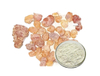 Extracto de Boswellia Serrata