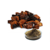 Extracto orgánico de hongo Chaga