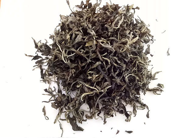 Extracto de té blanco