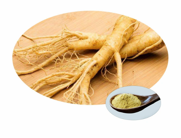 Extracto orgánico de ginseng coreano 