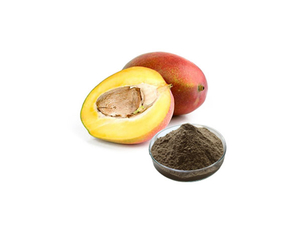 Extracto de semilla de mango africano
