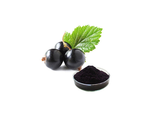 Extracto de grosella negra
