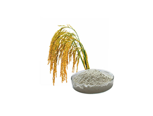 Extracto de salvado de arroz