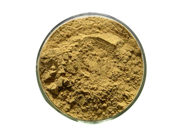 Extracto de Ashwagandha