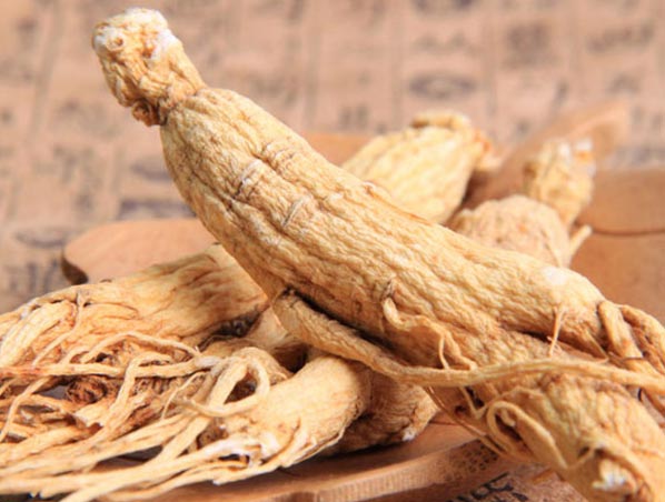 Extracto de ginseng