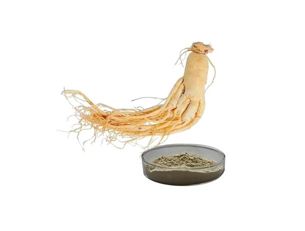 Extracto de ginseng
