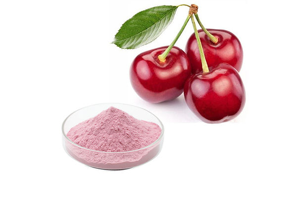 Polvo de extracto de cereza ácida