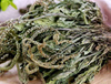 Extracto de hierba de plantago