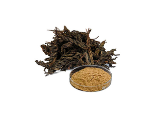 Extracto de té Pu Erh