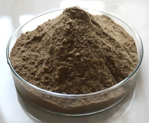 1.Extracto de semilla de mango africano