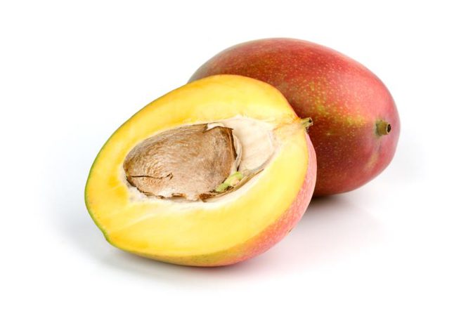 Extracto de semilla de mango africano/extracto de Irvingia Gabonesis 7%-25%Proteína en polvo de flavona 