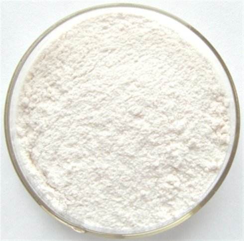 Polvo de inulina