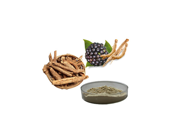 Extracto de ginseng siberiano