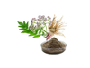 Extracto de valeriana