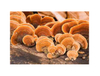 Extracto de Reishi orgánico / Extracto de Reishi