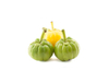 Extracto de Garcinia Cambogia