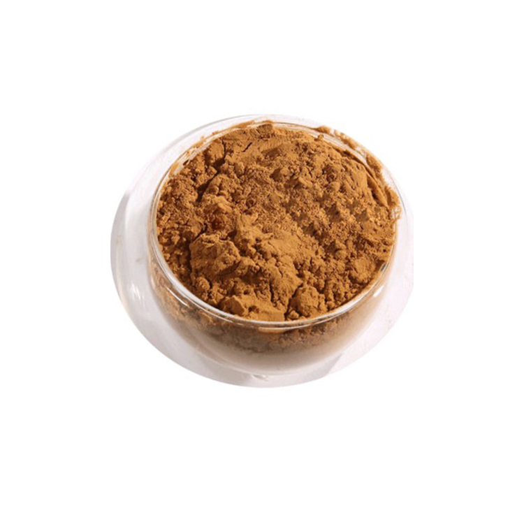 Polvo de extracto de aguja de pino