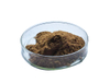 Extracto de Pygeum Africanum